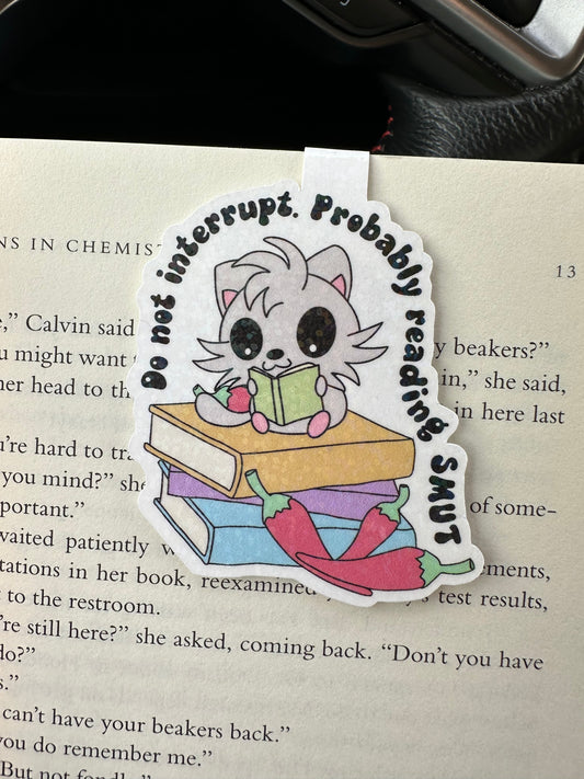 Do Not Interrupt Reading SMUT Racoon Magnetic Bookmark